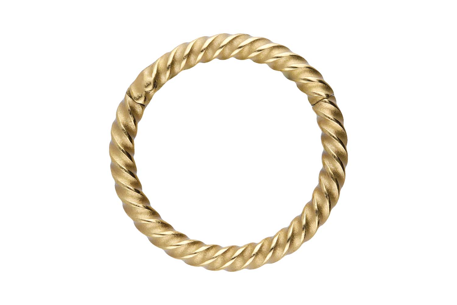 Chirurgenstahl Segmentring Clicker Piercing GEDREHT